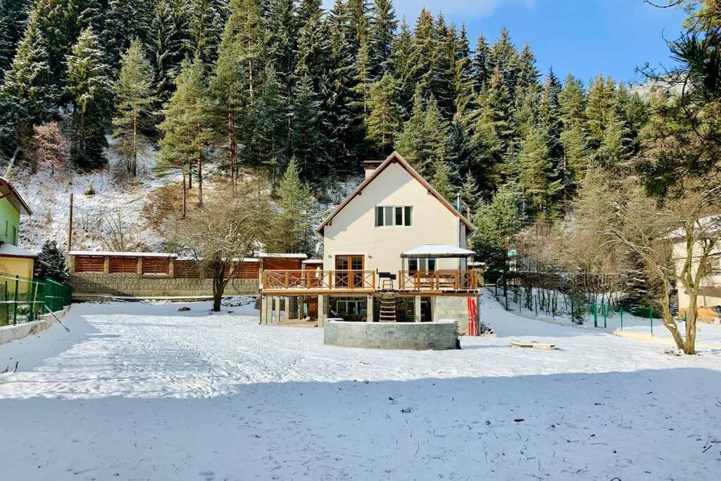 Villa Aquila Beli Iskar Exteriör bild