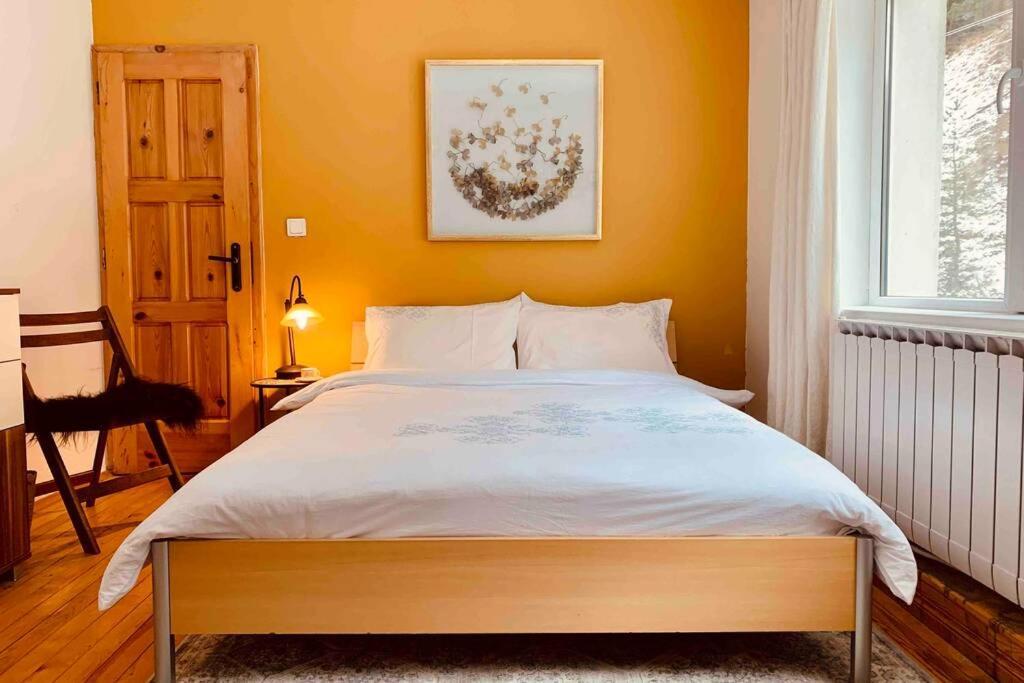 Villa Aquila Beli Iskar Exteriör bild