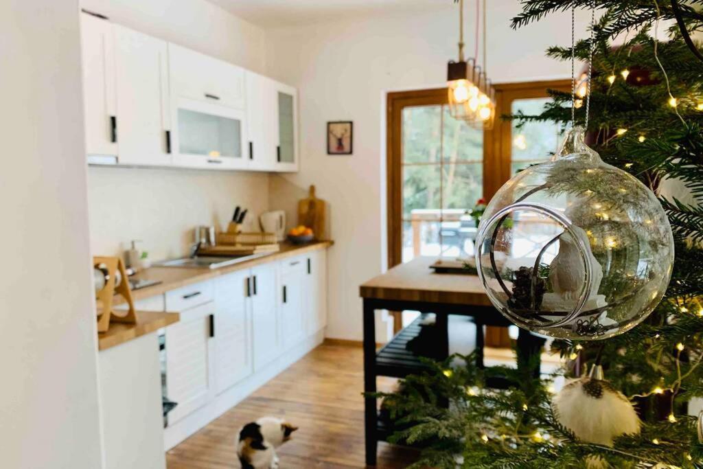 Villa Aquila Beli Iskar Exteriör bild